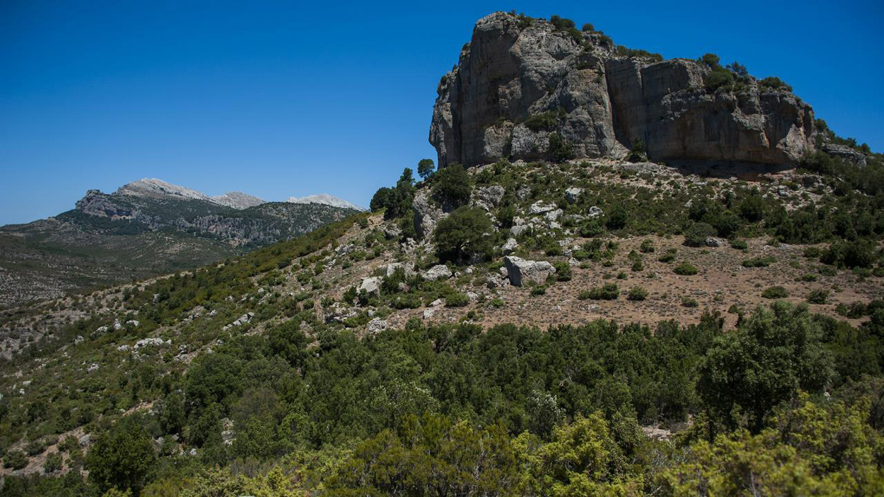 Confguide_Nuoro